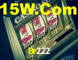 Daily Bonuses Br222