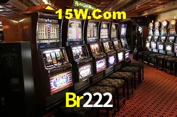Platform Technology Br222